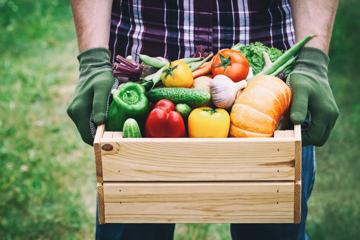 Un homme tenant une boîte en bois pleine de légumes.