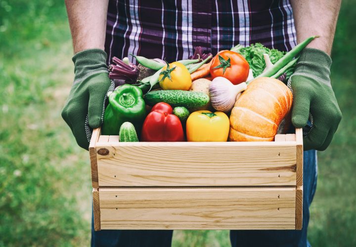 Un homme tenant une boîte en bois pleine de légumes.