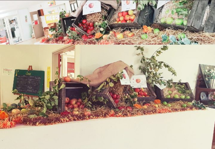 Une exposition de fruits et légumes sur une table.