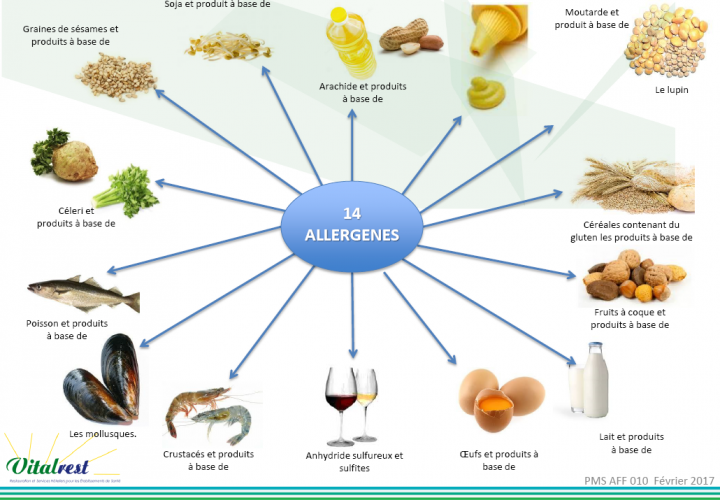 Un diagramme montrant les aliments bons pour les allergies.