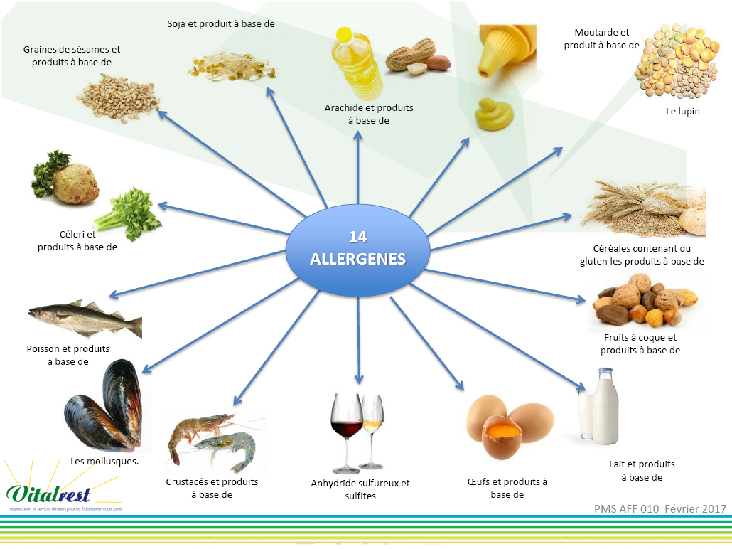 Un diagramme montrant les aliments bons pour les allergies.