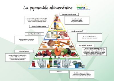 Une affiche montrant la pyramide alimentaire.