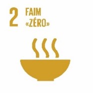 Une image d'un bol de soupe :  faim "zéro"