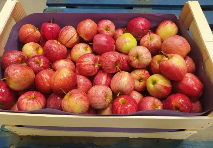 fruits et légumes déclassés