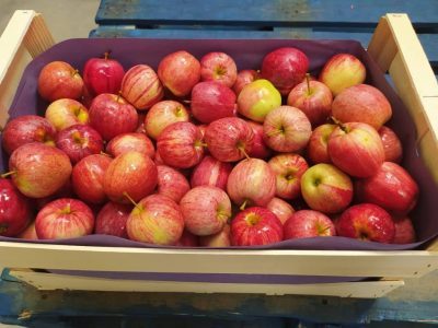 fruits et légumes déclassés