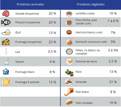 Teneur en protéines des principaux groupes d’aliments