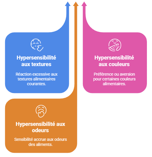 Infographie sur l'hypersensibilité sensorielle et sélectivité alimentaire
