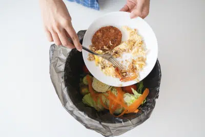 Gaspillage alimentaire