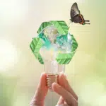 Semaine Européenne du Développement Durable