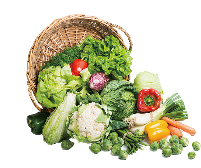 Légumes dans un panier sur fond blanc.